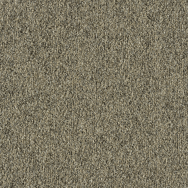 Toli Carpet Tile Grand Art – GA-3600 Sustive Back – The Ground Collection