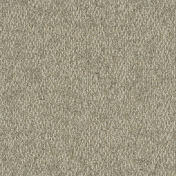 Toli Carpet Tile Grand Art – GA-3600 Sustive Back – The Ground Collection