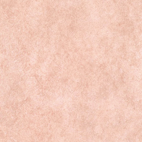 Sàn nhựa Vinyl tấm FT vân đá Hoàng Gia 2 (450mmx450mm)