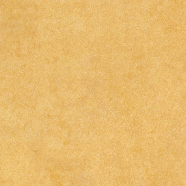 Sàn nhựa Vinyl tấm FT vân đá Hoàng Gia 2 (450mmx450mm)