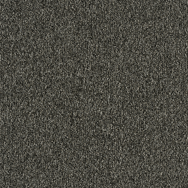 Toli Carpet Tile Grand Art – GA-3600 Sustive Back – The Ground Collection