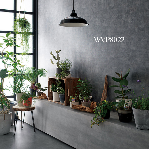 Giấy dán tường Toli Decopower 2024-2027 WVP