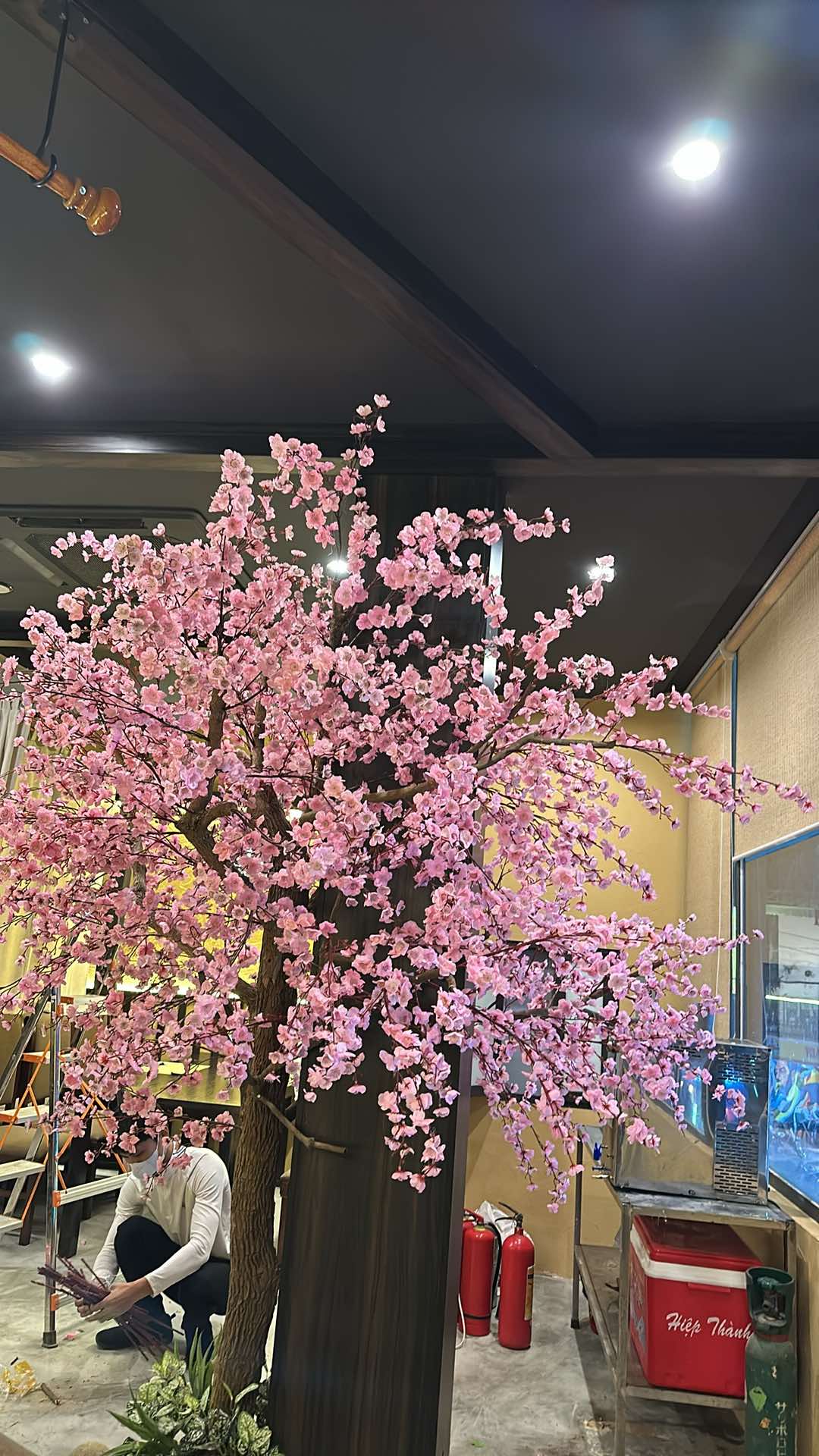 Showa Restaurant